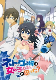 Netoge no Yome wa Onnanoko ja Nai to Omotta? | اوك انمي - Okanime