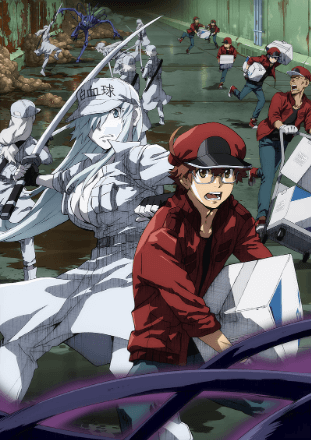 Hataraku Saibou Black (TV) | اوك انمي - Okanime