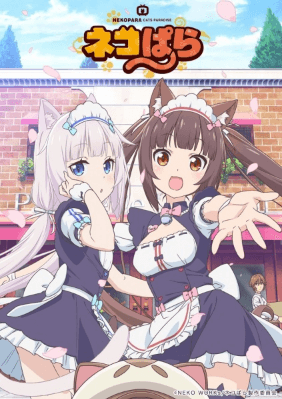 Nekopara | اوك انمي - Okanime